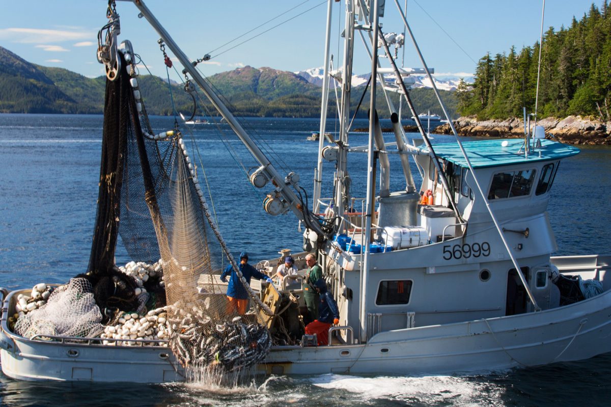 A Day in the Life of an Alaskan Commercial Fisherman: Work, Wages