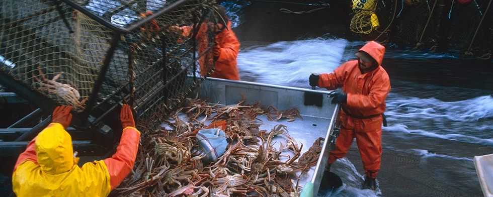 Alaska Fishing Jobs Step by Step Guide To Fishing Job Employment In alaska-fishing-jobs-step-by-step-guide-to-fishing-job-employment-in
