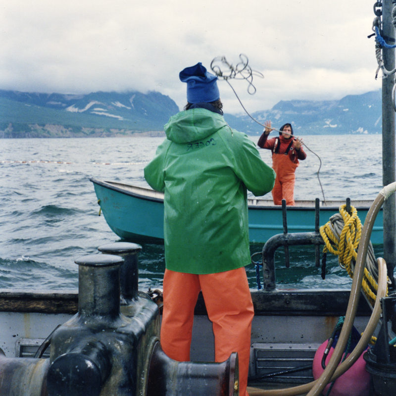 Alaska Fish Tales Alaska Fishing Jobs Alaskafishingjobs Com